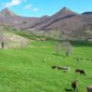 cantaltitude.fr - Gîte au coeur du pays vert - Photographies