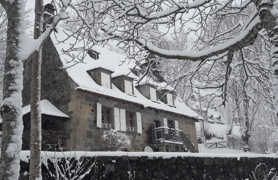 cantaltitude.fr - Gîte au coeur du pays vert