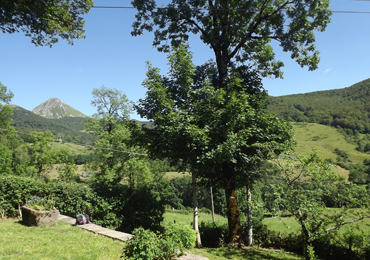 cantaltitude.fr - Gîte au coeur du pays vert